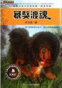 ​《藏獒渡魂》：我和孩子，成了彼此渡魂的羊