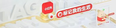 ​吐血整理！2019最火发型，圆脸方脸长脸鹅蛋脸统统有