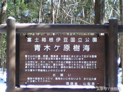 ​日本富士山深藏上千具尸骨：最美景点成“自杀森林”