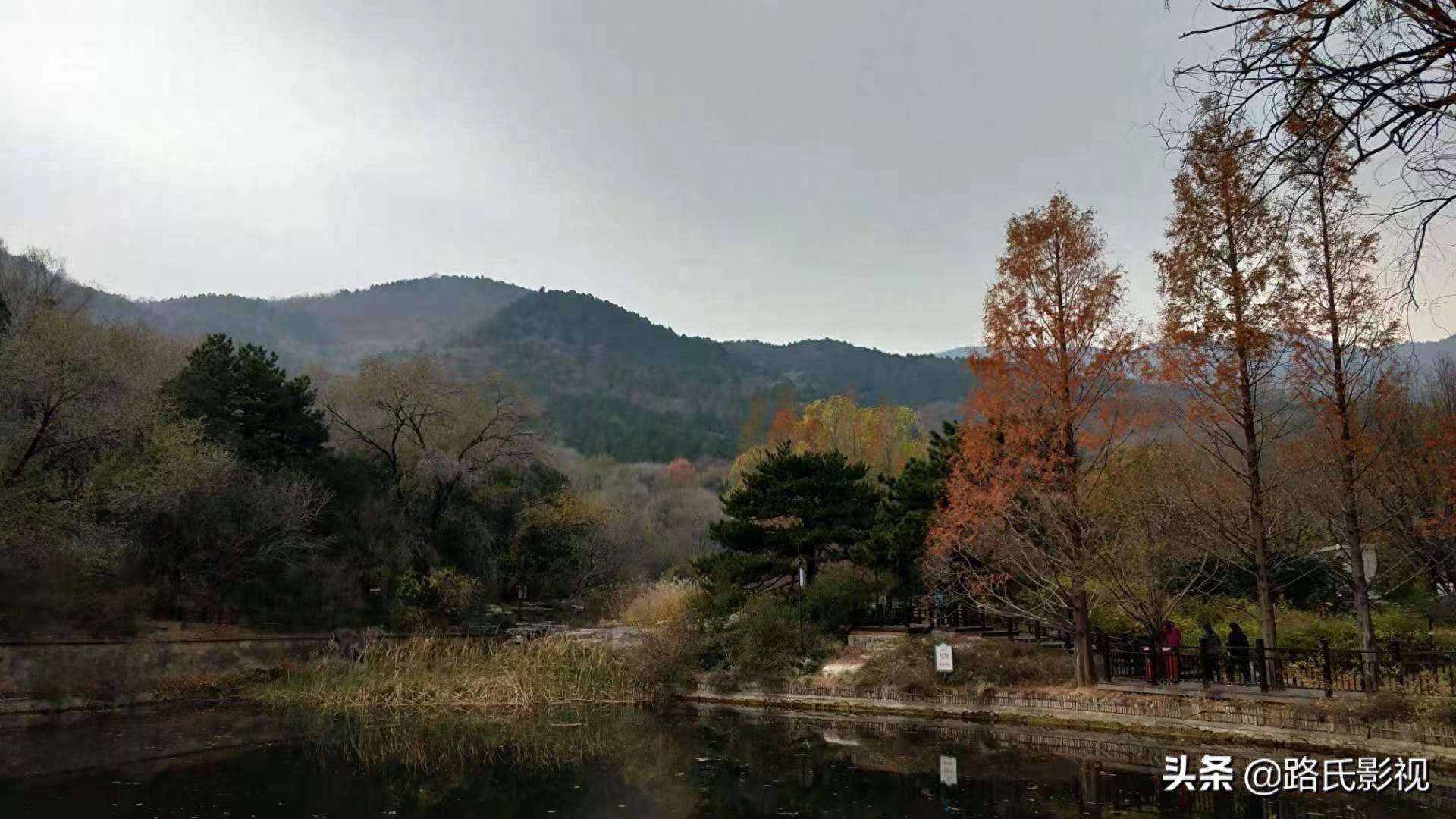 北京植物园，入冬风景，至情至善，如画人间