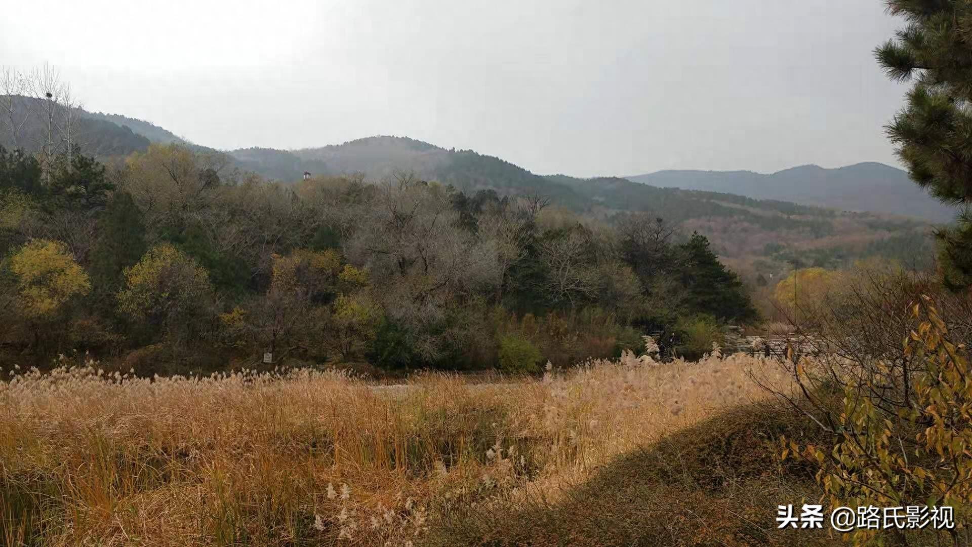 北京植物园，入冬风景，至情至善，如画人间