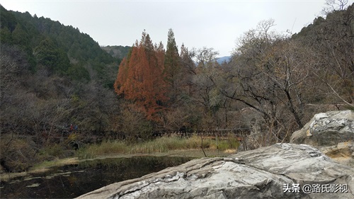 北京植物园，入冬风景，至情至善，如画人间