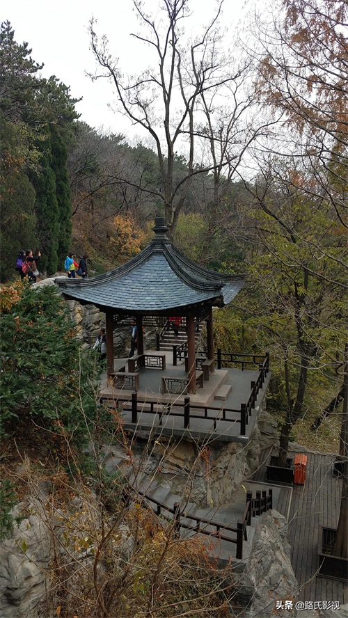 北京植物园，入冬风景，至情至善，如画人间