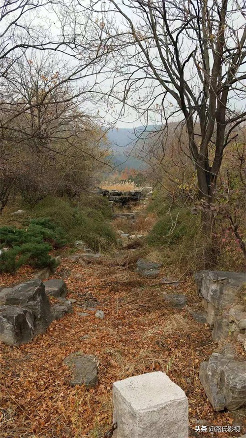 北京植物园，入冬风景，至情至善，如画人间