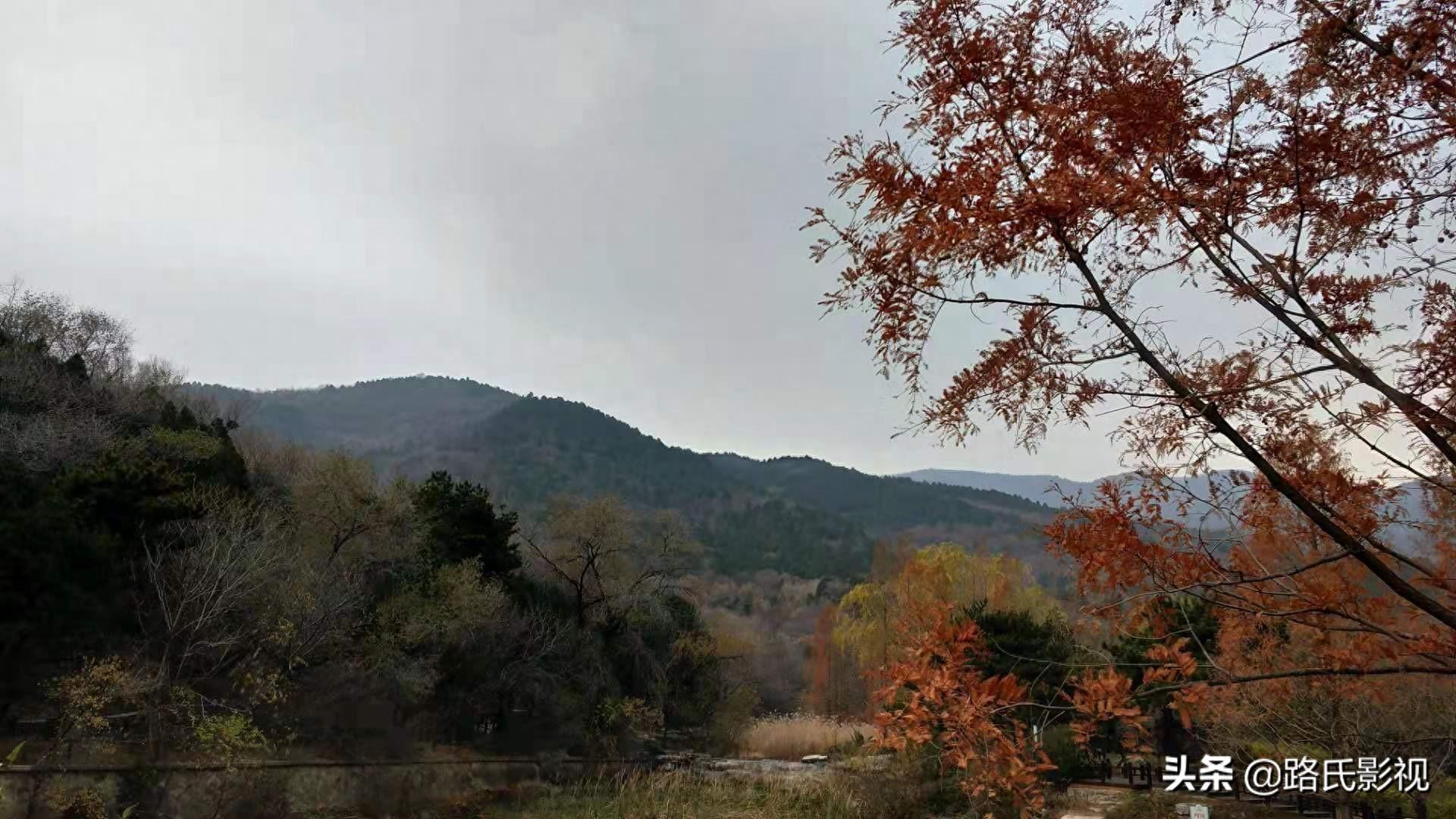 北京植物园，入冬风景，至情至善，如画人间