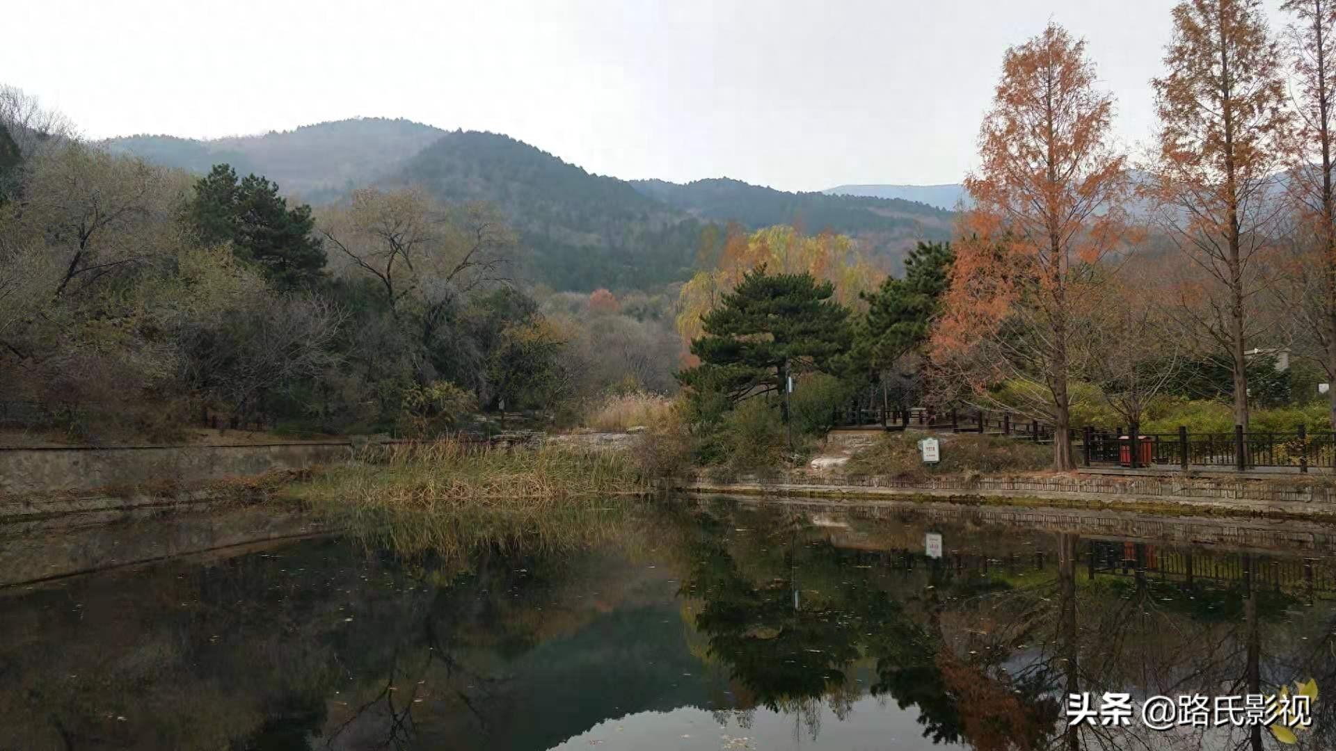 北京植物园，入冬风景，至情至善，如画人间