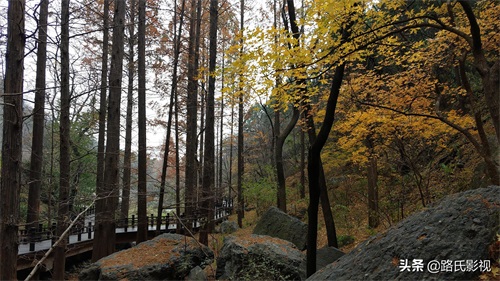 北京植物园，入冬风景，至情至善，如画人间