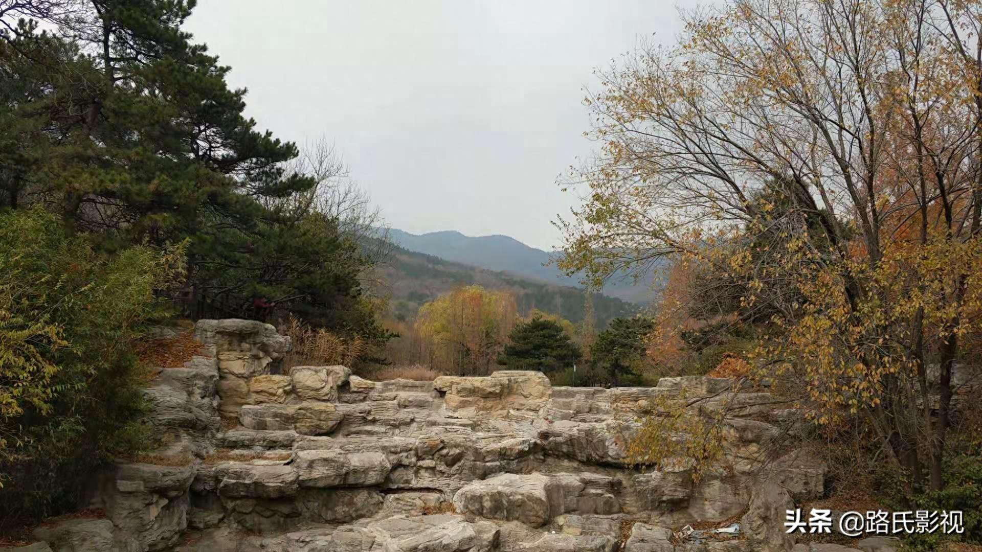 北京植物园，入冬风景，至情至善，如画人间