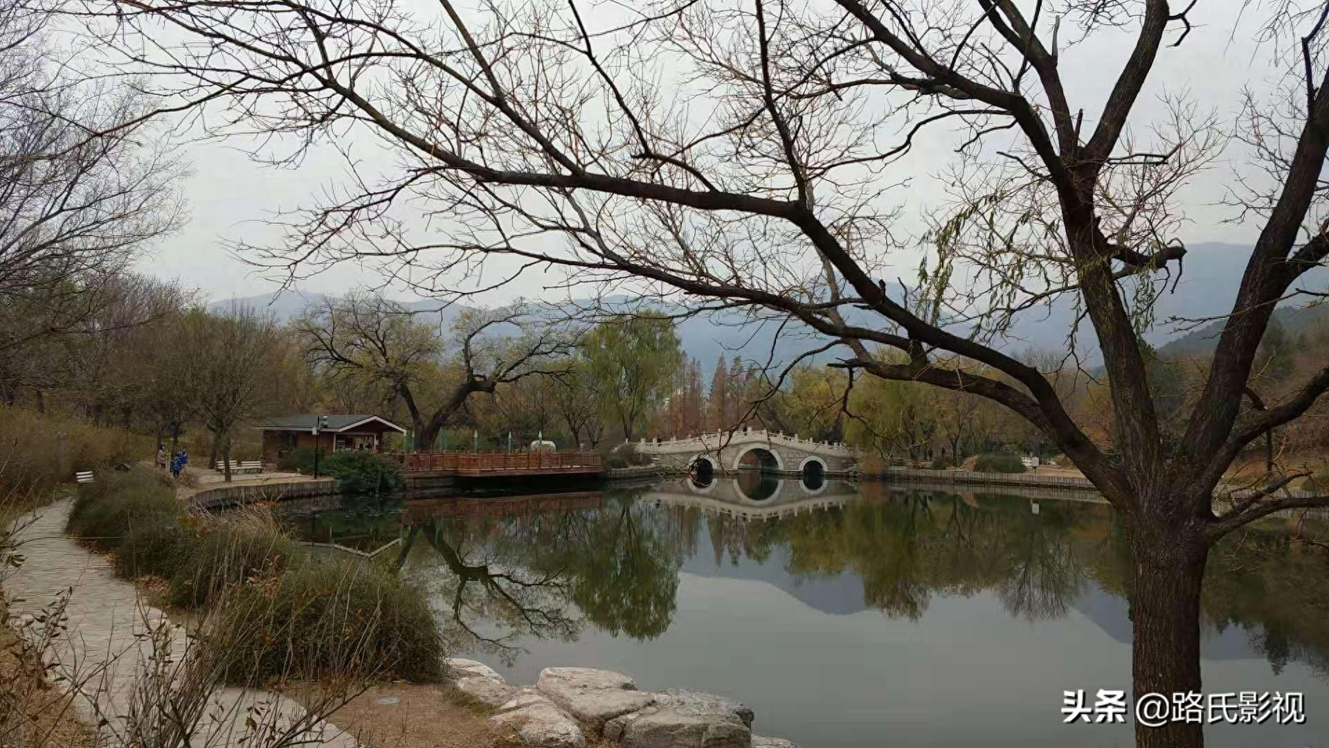 北京植物园，入冬风景，至情至善，如画人间