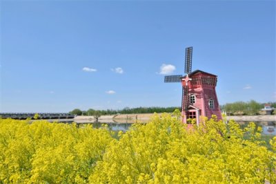 ​北运河郊野公园，花果飘香，运河风光，是天津郊野游玩的好去处